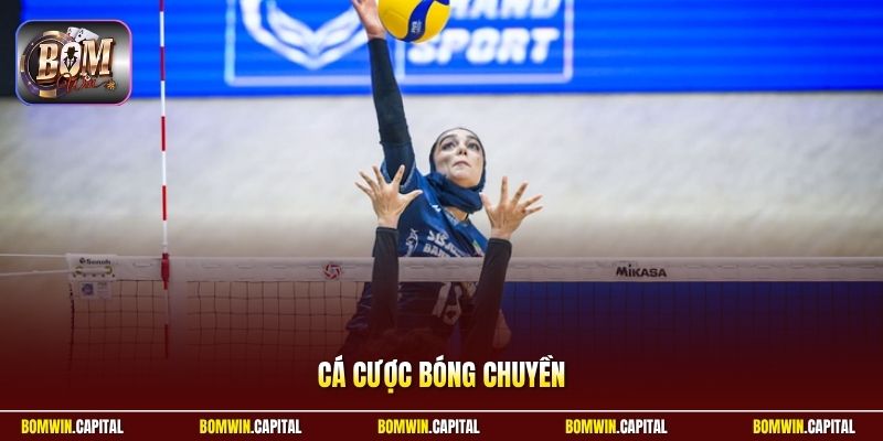 Cá Cược Bóng Chuyền - Hướng Dẫn Soi Kèo Đỉnh Cao 2026 