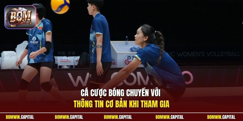 Cá cược bóng chuyền với thông tin cơ bản khi tham gia