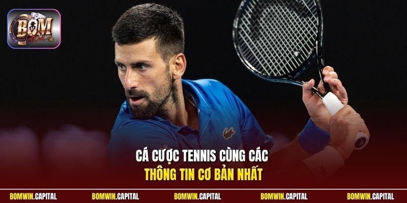 Cá cược Tennis cùng các thông tin cơ bản nhất