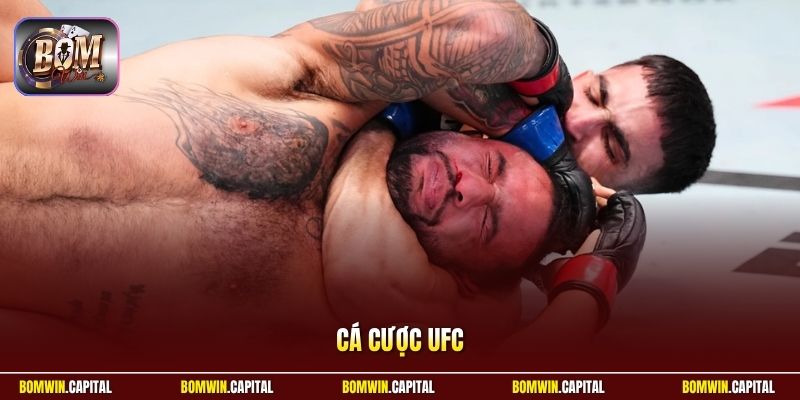 Cá Cược UFC - Đỉnh Cao Kịch Tính, Tỷ Lệ Thưởng Cực Khủng