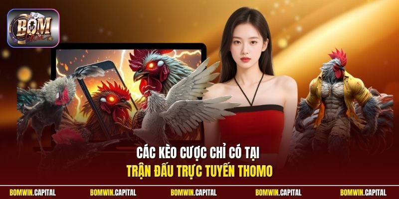 Các kèo cược chỉ có tại trận đấu trực tuyến Thomo