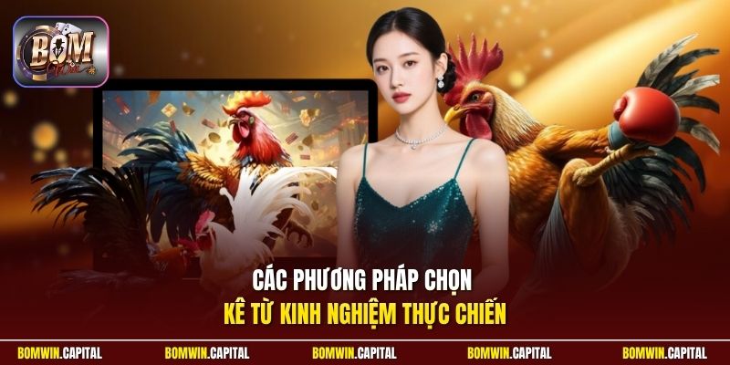 Các phương pháp chọn kê từ kinh nghiệm thực chiến