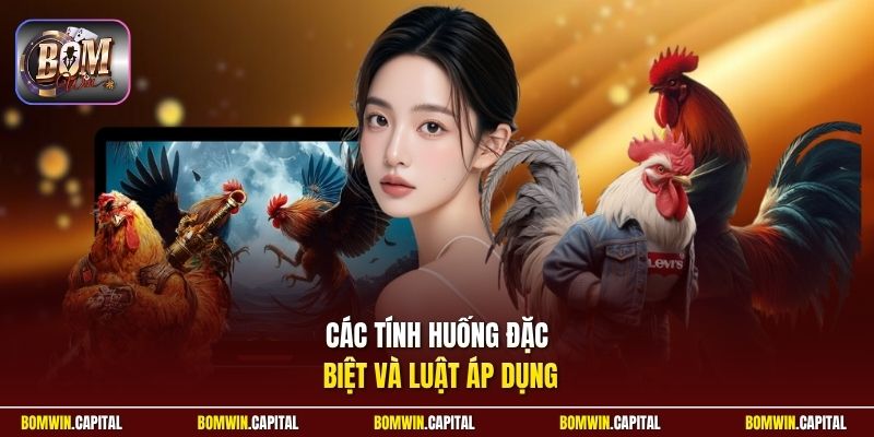 Các tính huống đặc biệt và luật áp dụng