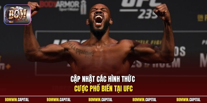 Cập nhật các hình thức cược phổ biến tại UFC