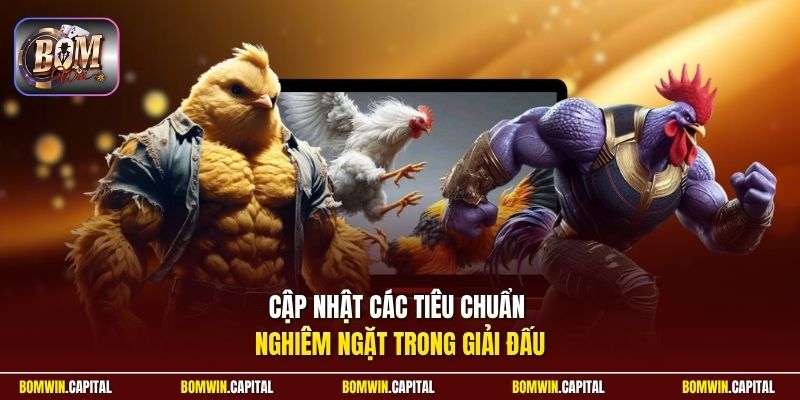 Cập nhật các tiêu chuẩn nghiêm ngặt trong giải đấu