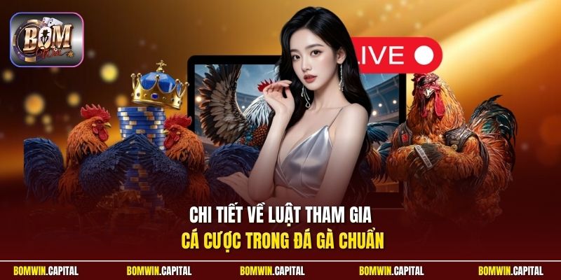 Chi tiết về luật tham gia cá cược trong đá gà chuẩn