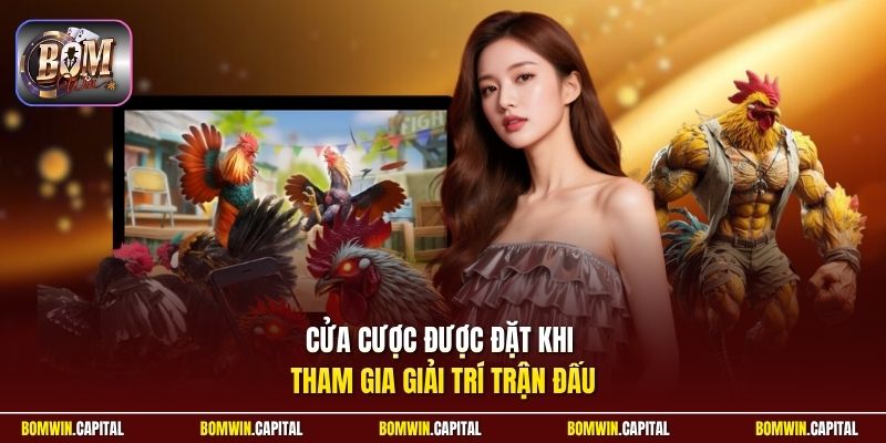 Cửa cược được đặt khi tham gia giải trí trận đấu