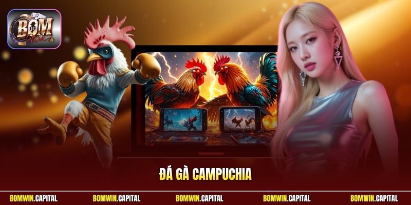 Đá Gà Campuchia - Xem Trực Tiếp Đỉnh Cao Tại Nhà Cái Bomwin