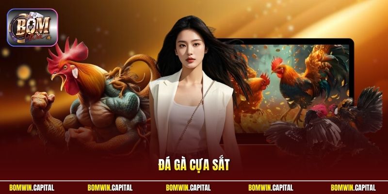 Đá Gà Cựa Sắt - Trực Tiếp Các Trận Đấu Đỉnh Cao Tại Bomwin