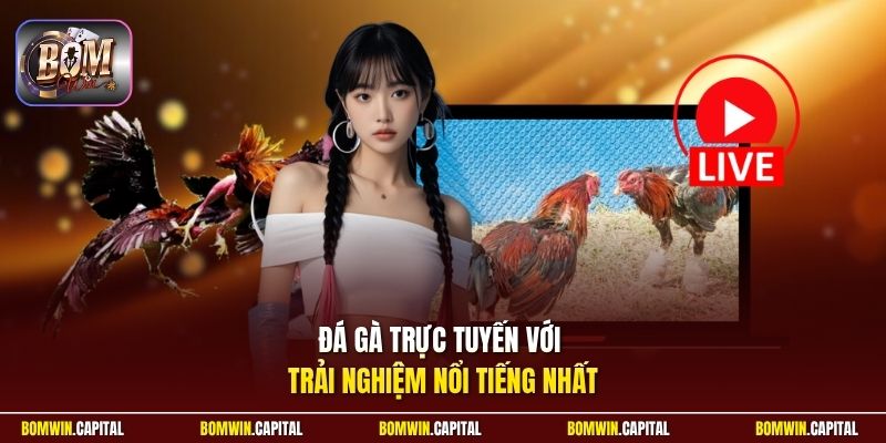 Đá gà trực tuyến với trải nghiệm nổi tiếng nhất