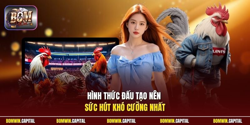 Hình thức đấu tạo nên sức hút khó cưỡng nhất