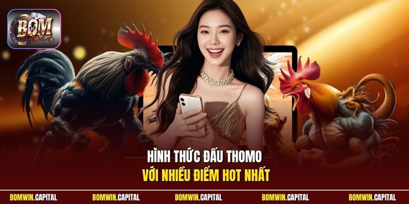 Hình thức đấu Thomo với nhiều điểm hot nhất