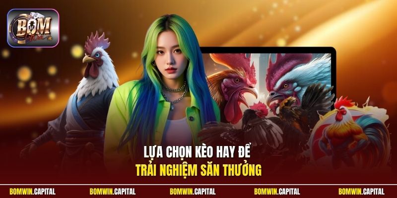 Lựa chọn kèo hay để trải nghiệm săn thưởng