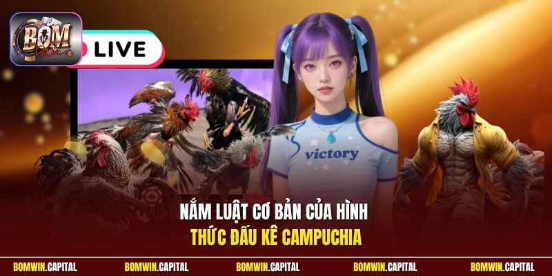 Nắm luật cơ bản của hình thức đấu kê Campuchia