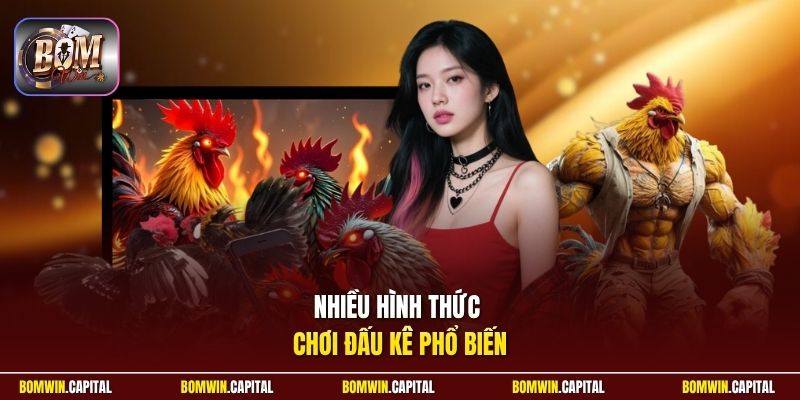 Nhiều hình thức chơi đấu kê phổ biến