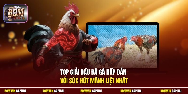 Top giải đấu đá gà hấp dẫn với sức hút mãnh liệt nhất
